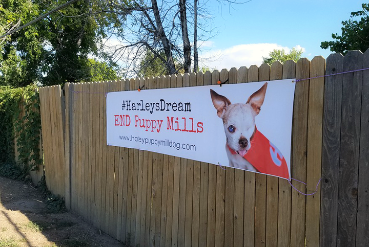 #HarleysDream banner creates public awareness