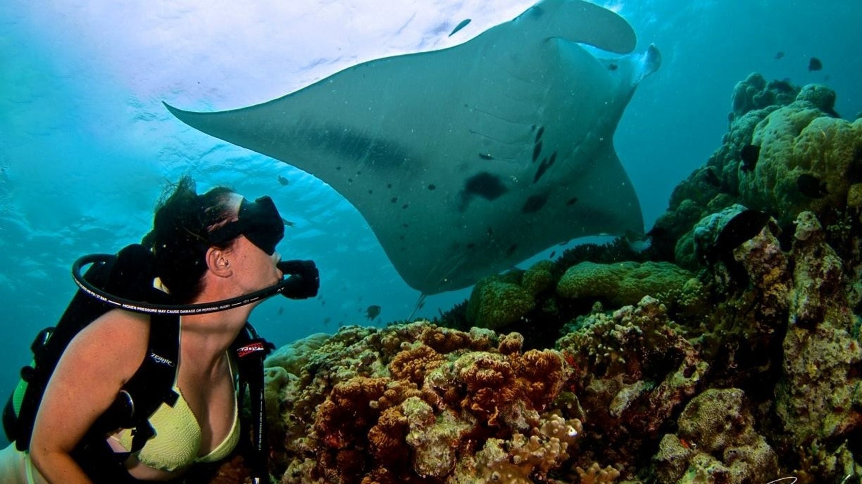 10 Female Scuba Divers Who Are Showing The World How It's Done HuffPost