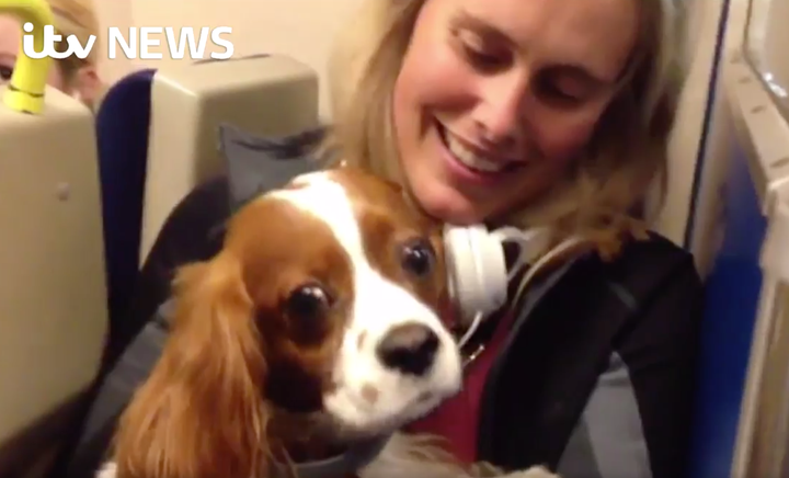 <strong>A somewhat stunned-looking Sammy safe in his owner's arms </strong>