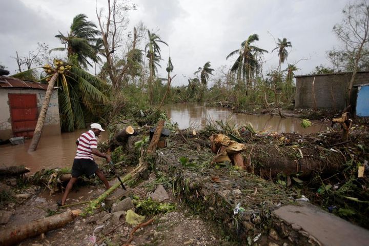 A man cuts branches off fallen trees in a flooded area in Les Cayes.