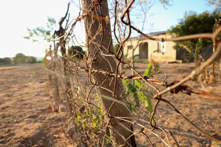 Welverdiend, a village created for peoples displaced by Kruger National Park, used to be a black township 20 years ago during apartheid. Policies of ownership instituted during apartheid established a bleak future for not only wilderness, but also society.
