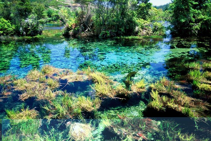 The beautiful Te Waikoropupu springs