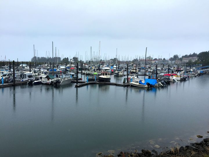 The marina in Sitka