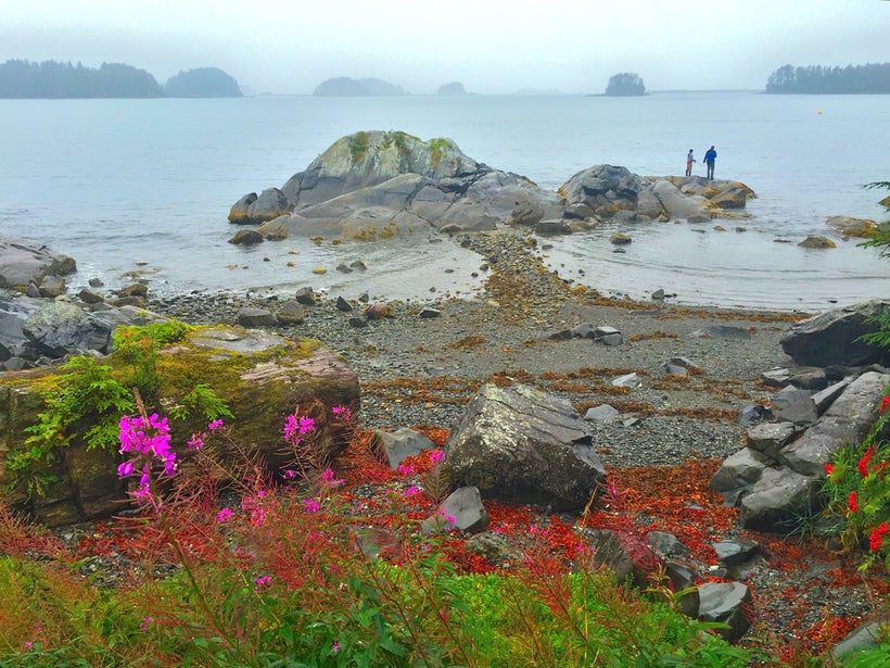 Pacific Coast of Sitka