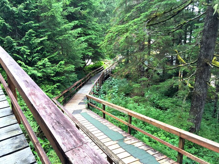 The wooden boardwalk marks the beginning of the hike to Baranof Lake