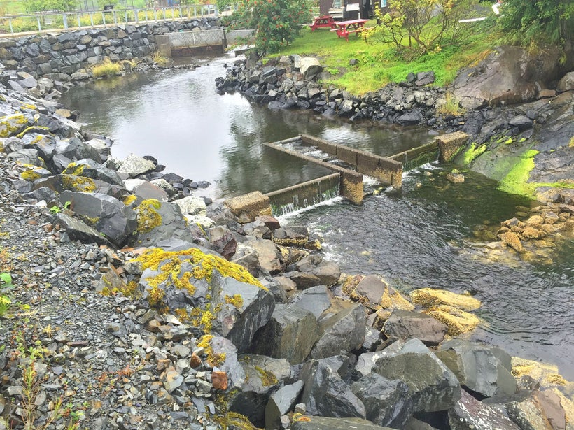 The hatchery in Sitka