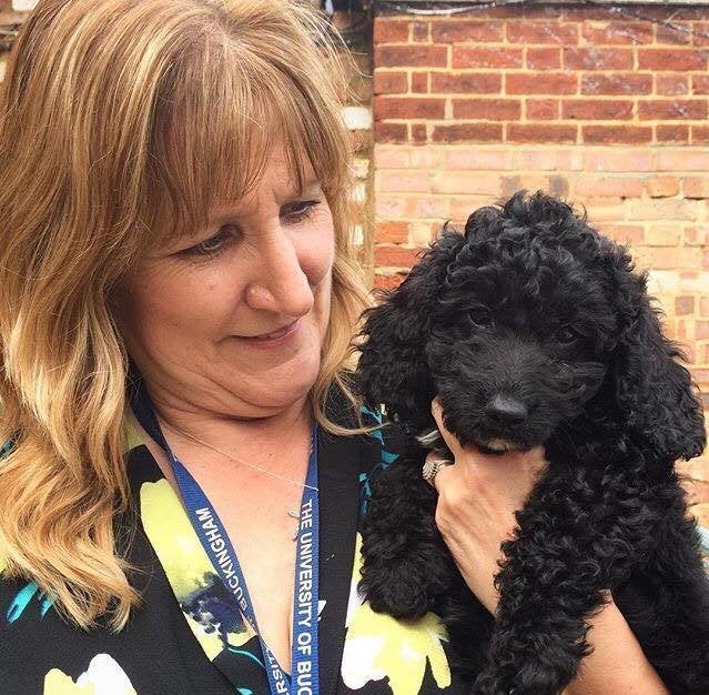 <strong>Head of Student Welfare Dee Bunker with Cockapoo puppy Tanlaw Millie</strong>
