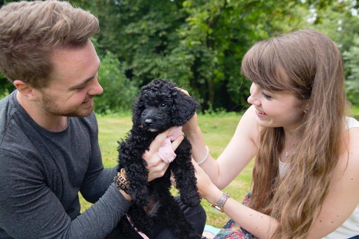 <strong>Sean Ruane and Natalie Tyner with puppy Milly</strong>