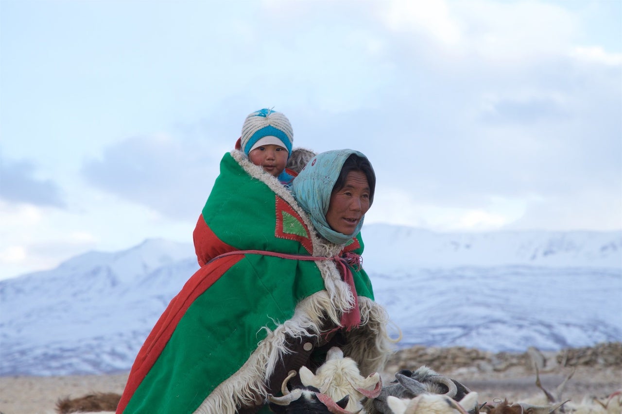 Brokpa and Changpa nomads. Himalaya, India.