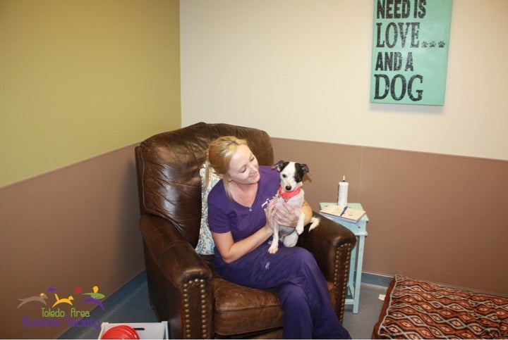 A pup enjoying its time in a real-life room at the Toledo Area Humane Society.