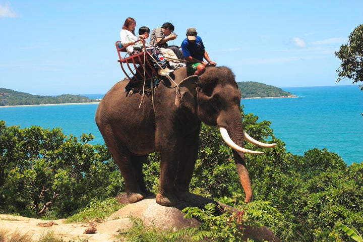 TripAdvisor announced that elephant rides will be one of the activities no longer available through its site