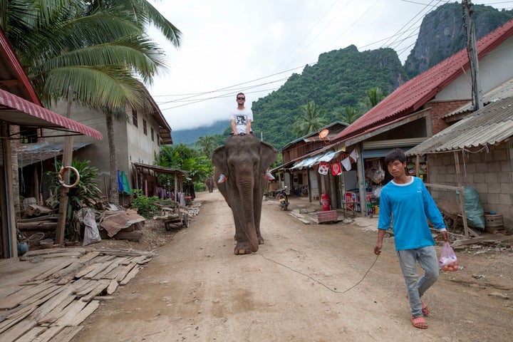 A tourist rides an elephant in Laos.