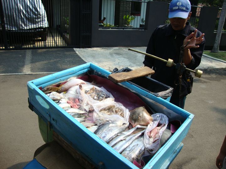 Mobile fishmonger weighing a purchase