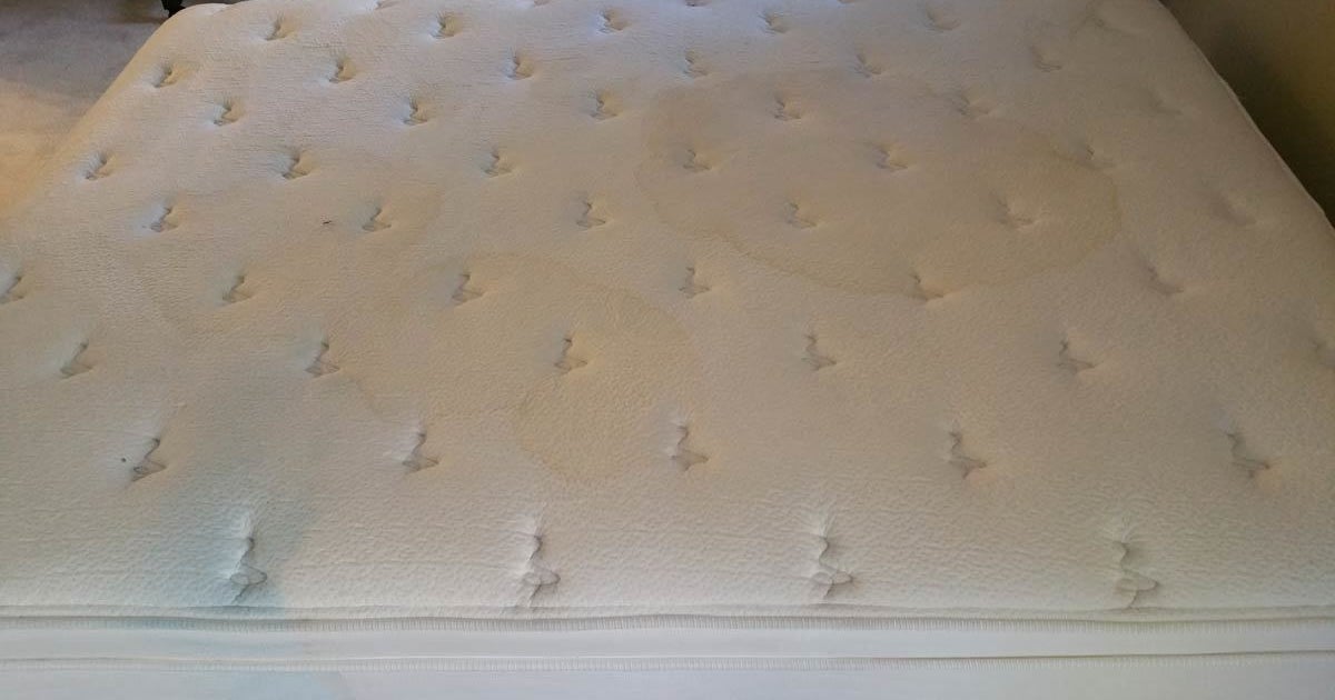 How to get rid of urine from a mattress HuffPost Contributor