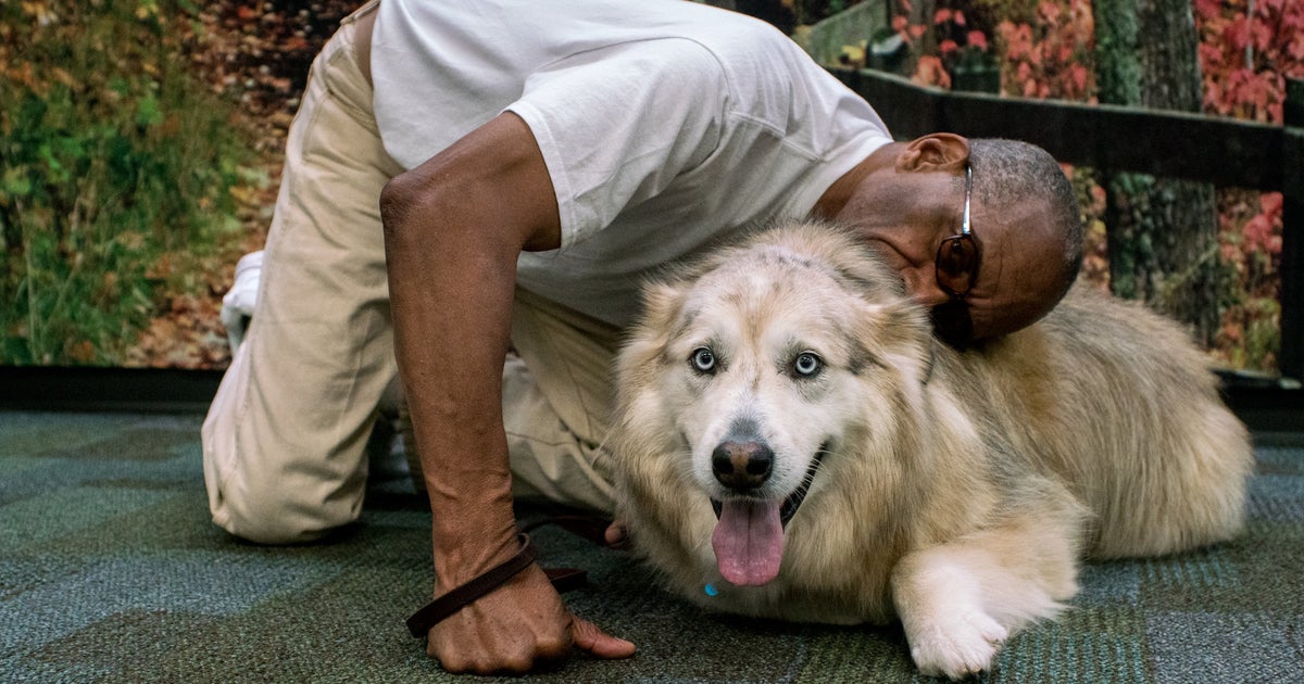 Inmates Who Trained Troubled Dogs Reunite With Pups They Saved ...