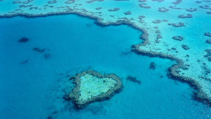 Great Barrier Reef, Queensland, Australia.