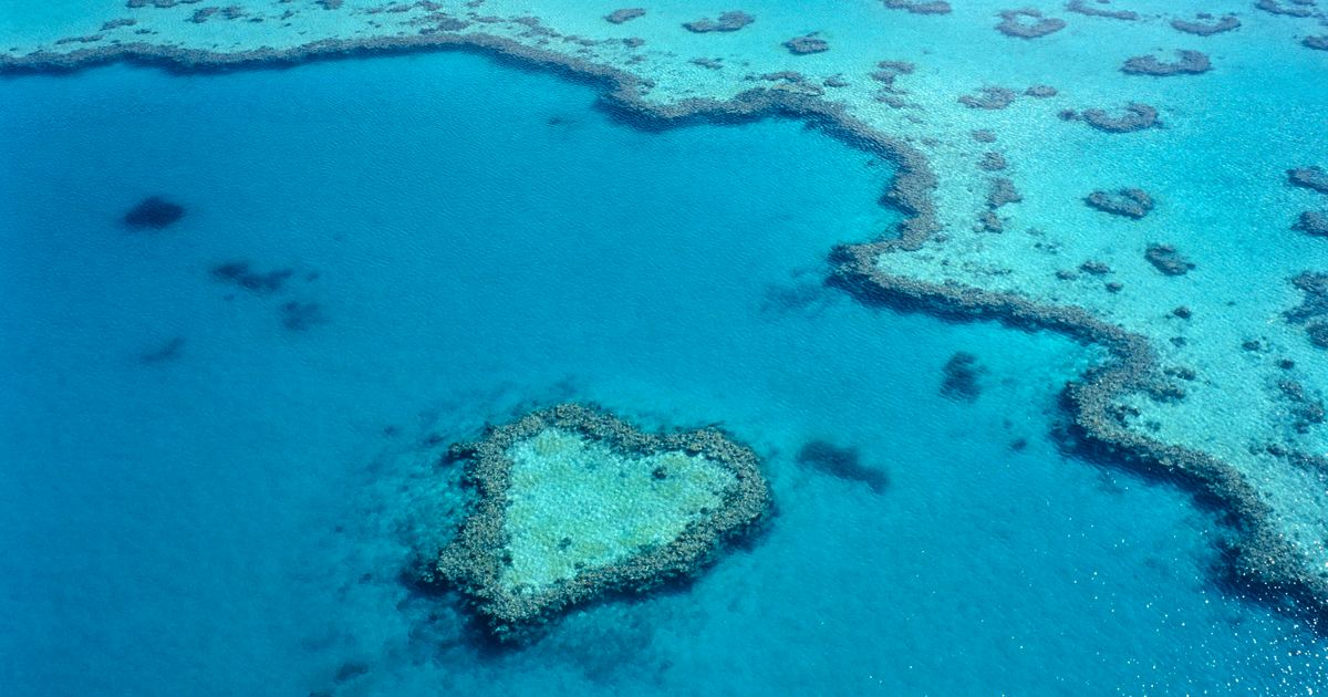 Great Barrier Reef coral bounces back, but global warming still a risk -  The Washington Post