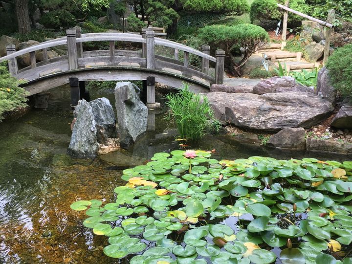 Japanese Gardens at Hillwood