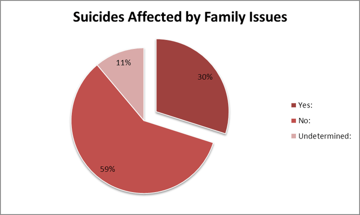 Pie graph illustrating the breakdown of data analyzed by Second Class Citizen that correlates to issues involving family court and divorce ordeals