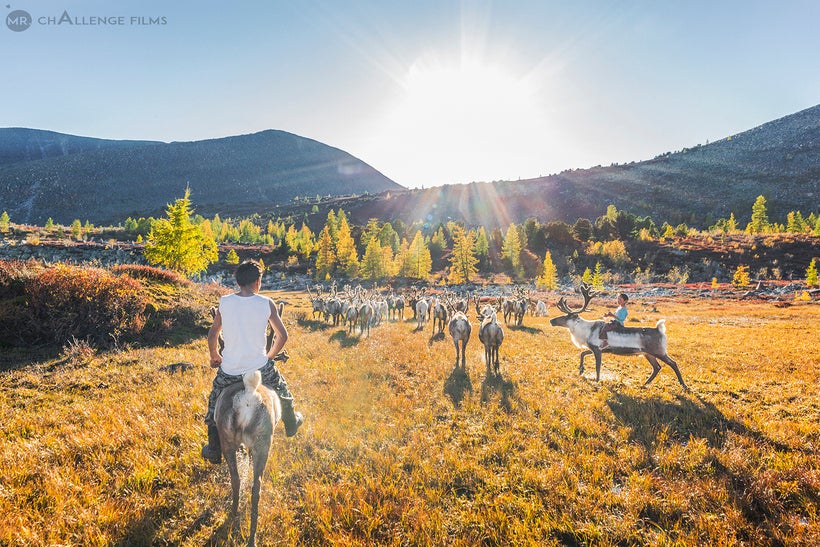 Tsaatan, the Reindeer Herders