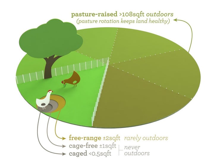 What's the Difference between Free-Range and Pasture-Raised Chicken?