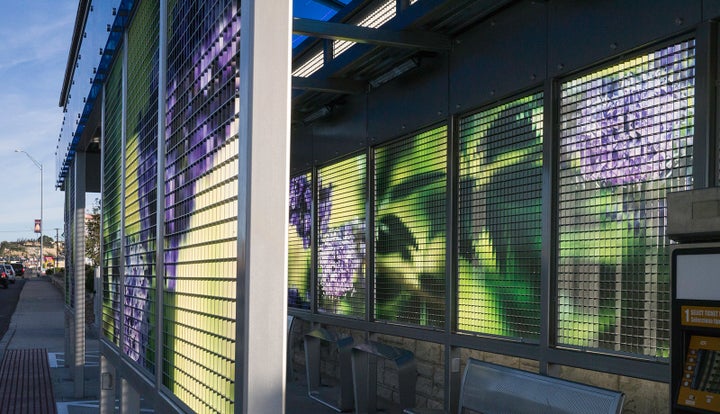 Catherine Widgery. Leaves of Wind: Transit Shelters in El Paso