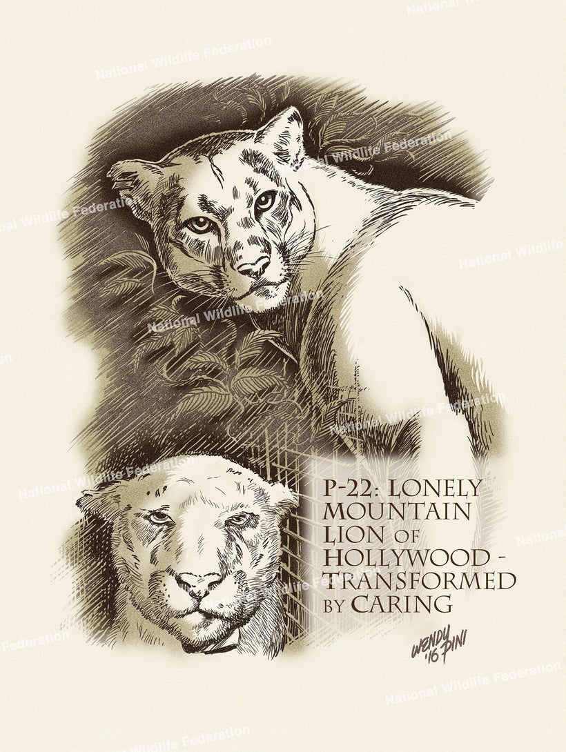 Purchase this exclusive art print created by comics artist Wendy Pini to support the National Wildlife Federation's #SaveLACo