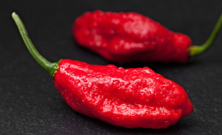 Ghost peppers are so hot.