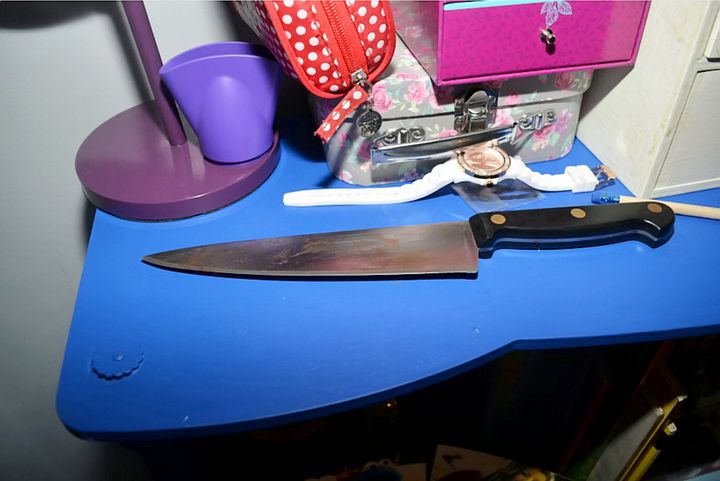<strong>The victims were stabbed a total of 10 times in a 'cold, calculated and callous' pre-planned attack at their home with this knife</strong>