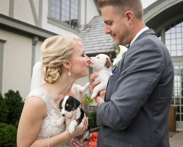 Kathryn Dombrowski and Brad Ziemer enjoyed lots of puppy love on their big day.