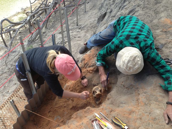 The skeleton being excavated.