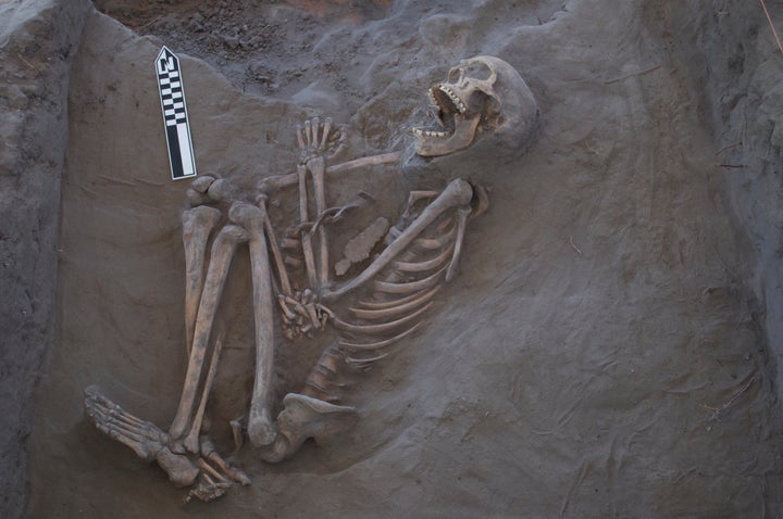 The skeleton during the process of excavation.