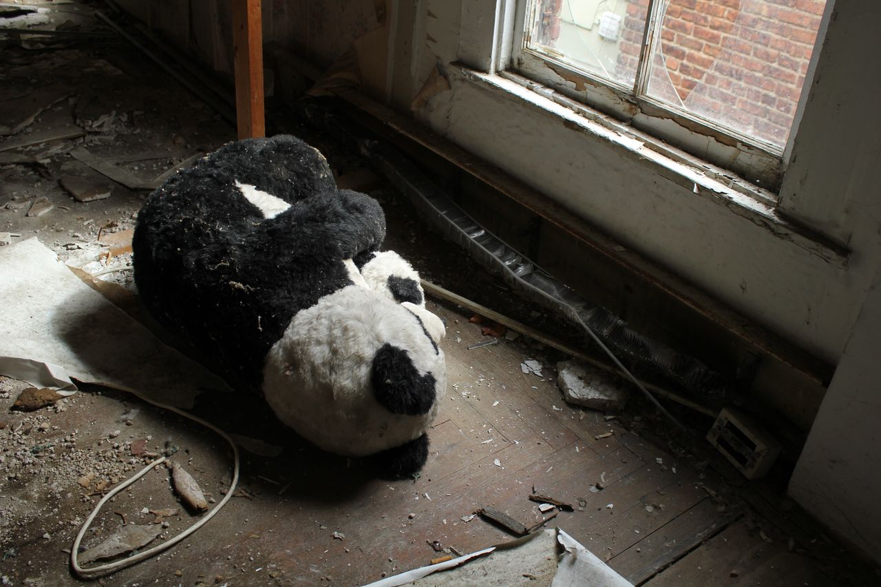 A stuffed animal found in one of the houses used in the "Breathing Lights" exhibition.