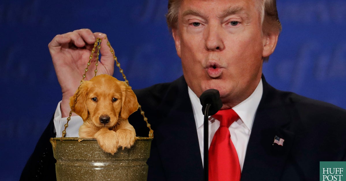 Nobody Noticed Trump Holding These Puppies Hostage During The Debate ...