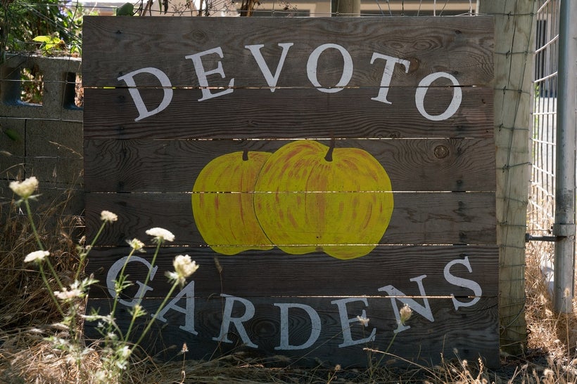 Our arrival at Devoto Farms
