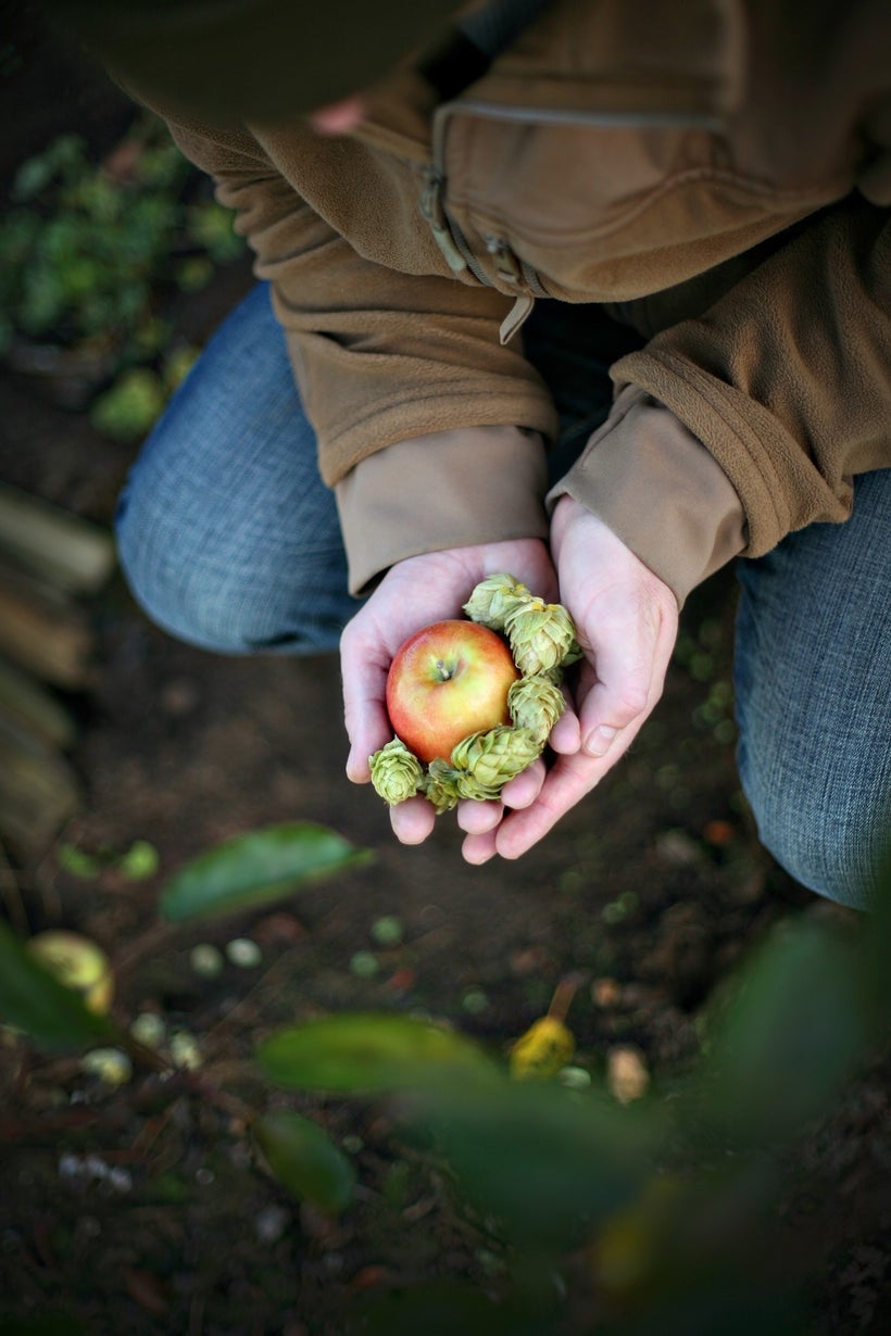 Bryan of Ratel Cider with hops & apple