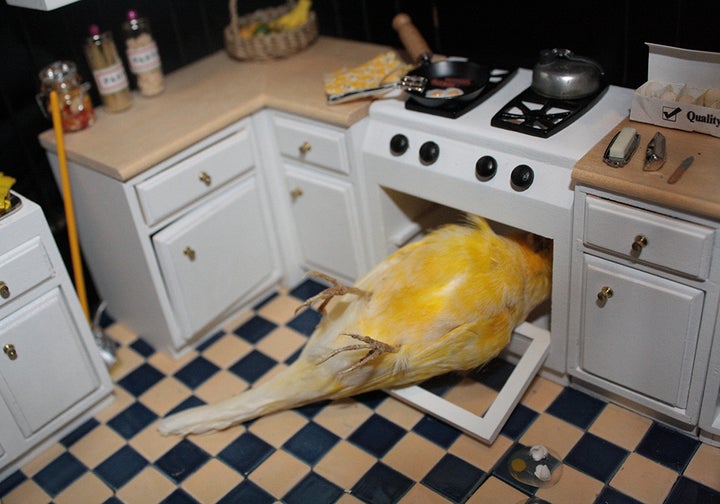 Canary Suicide: Sylvia's Kitchen (detail)