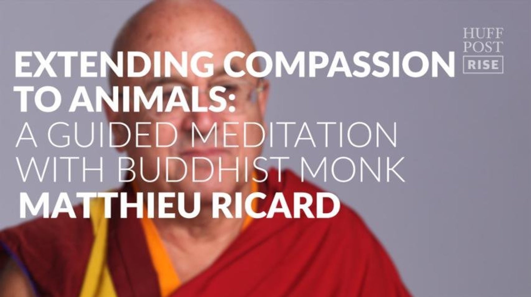 A Plea For The Animals | HuffPost Videos A Plea For The Animals | HuffPost Videos