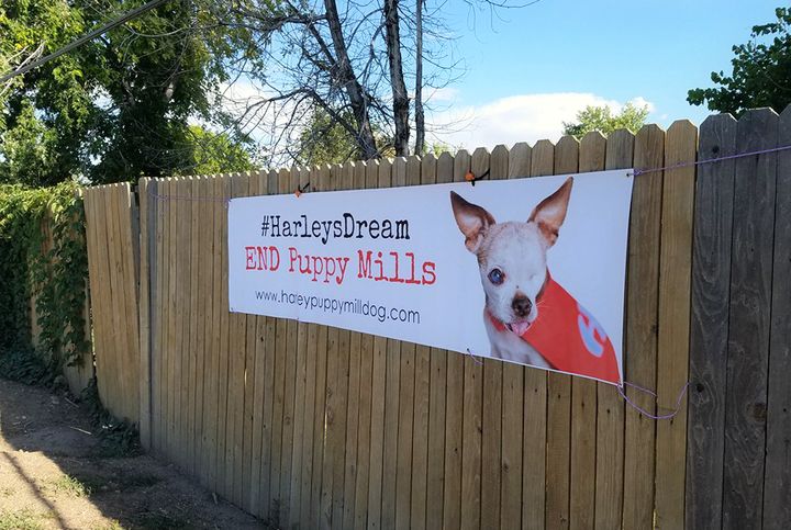 END Puppy Mills banner helps raise awareness about the cruel commercial dog breeding industry.