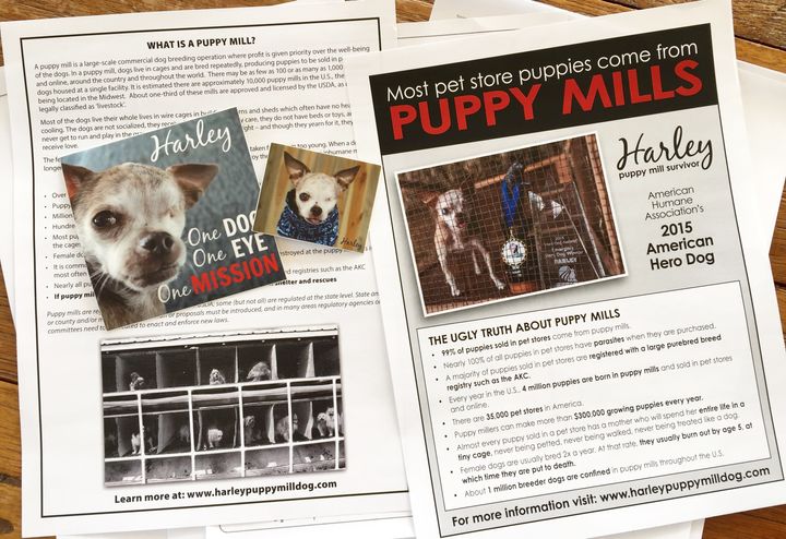 Anti-Puppy Mill flyers are available for distribution, just download and print.