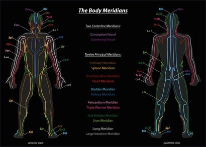 <p>The Body Meridians</p>