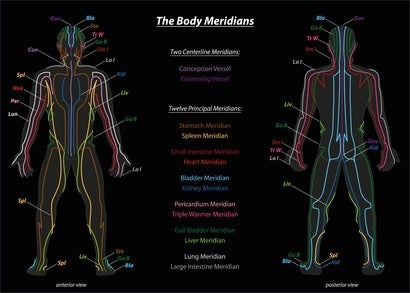 The Body Meridians