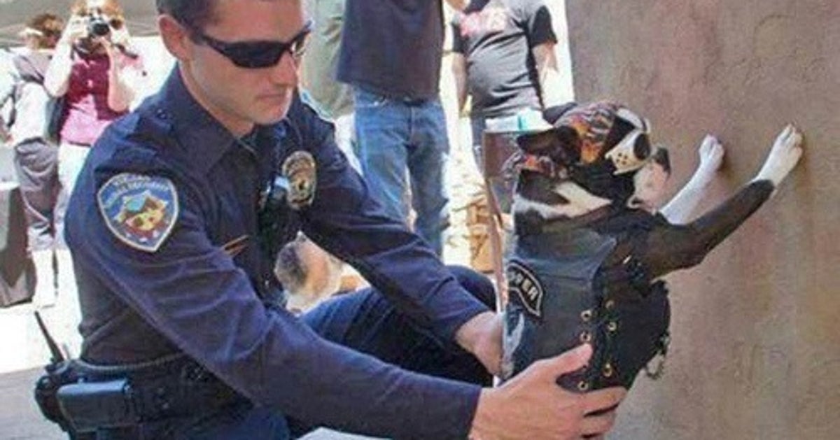 9 Things You Need to Know About the Dangers of Being a Cop | HuffPost ...