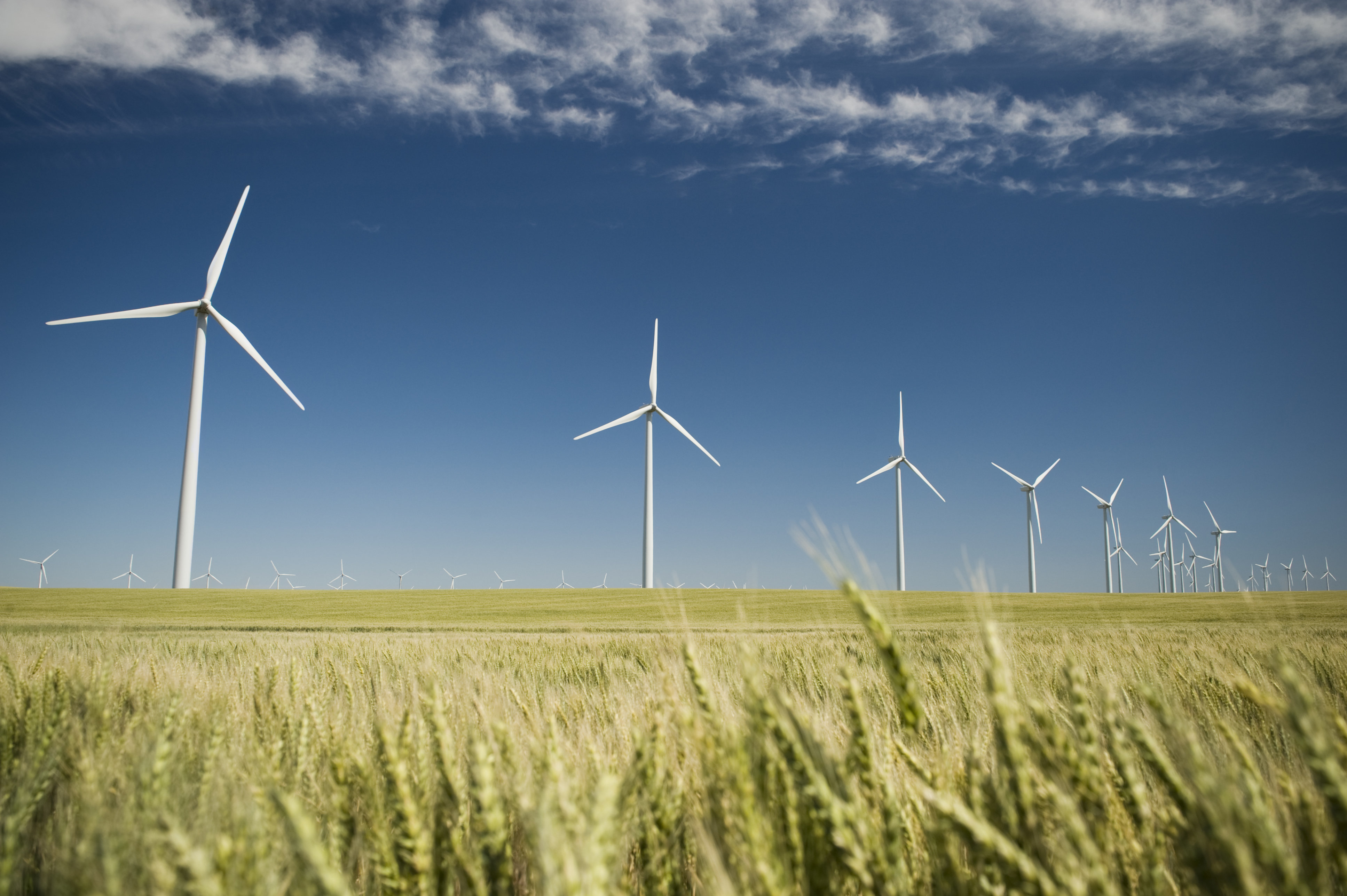 Spain Aims For 100% Renewable Energy, And Experts Think It's Achievable ...