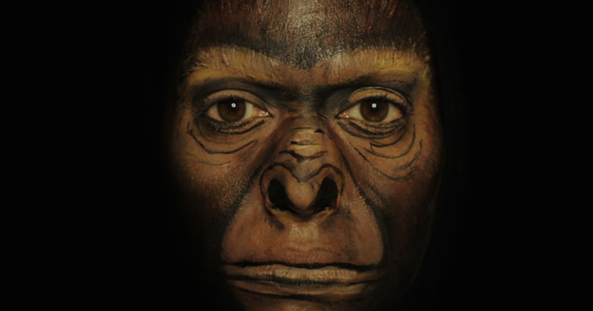 Artist Depicts The Theory Of Evolution In 1,250 Face Paintings ...