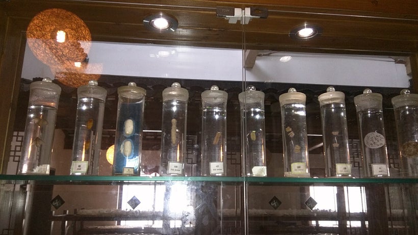 Glass jar exhibits show the stages of silk production