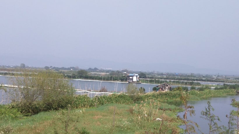 Crab fields are laid out within Taihu Lake