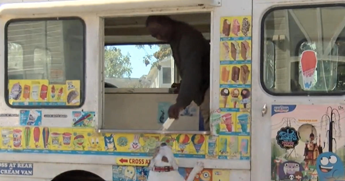 Rambo The Dog Is This Ice Cream Truck’s Most Loyal (And Cutest ...