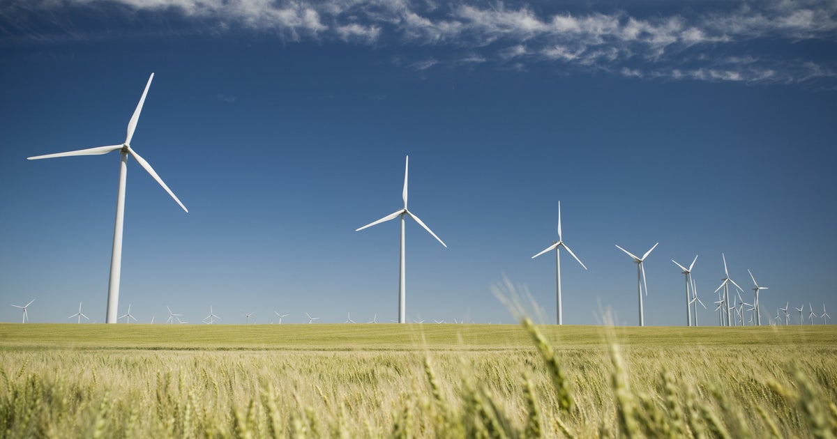 Renewable Energy Has Overtaken Fossil Fuels For The First Time Ever ...