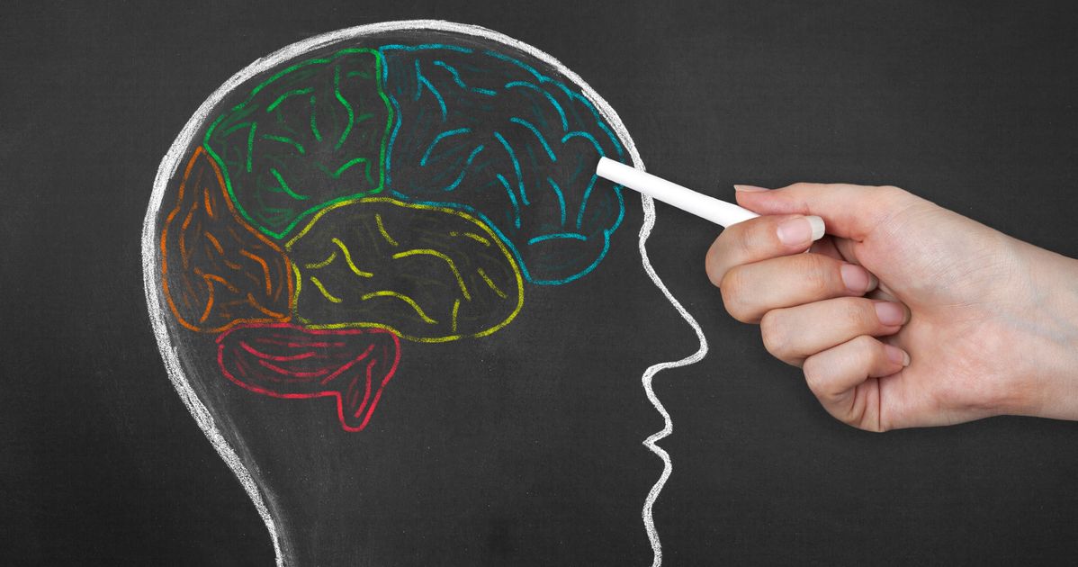 Развития способностей мозга. Мозг память. Мыслительная деятельность. Человеческая память.